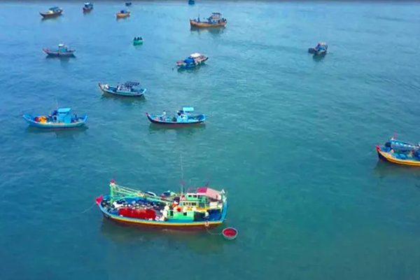 Tăng cường kiểm soát các vi phạm hành chính về VMS, vượt gianh giới cho phép khai thác trên biển